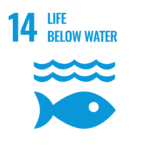 SDG 14 Life Below Water