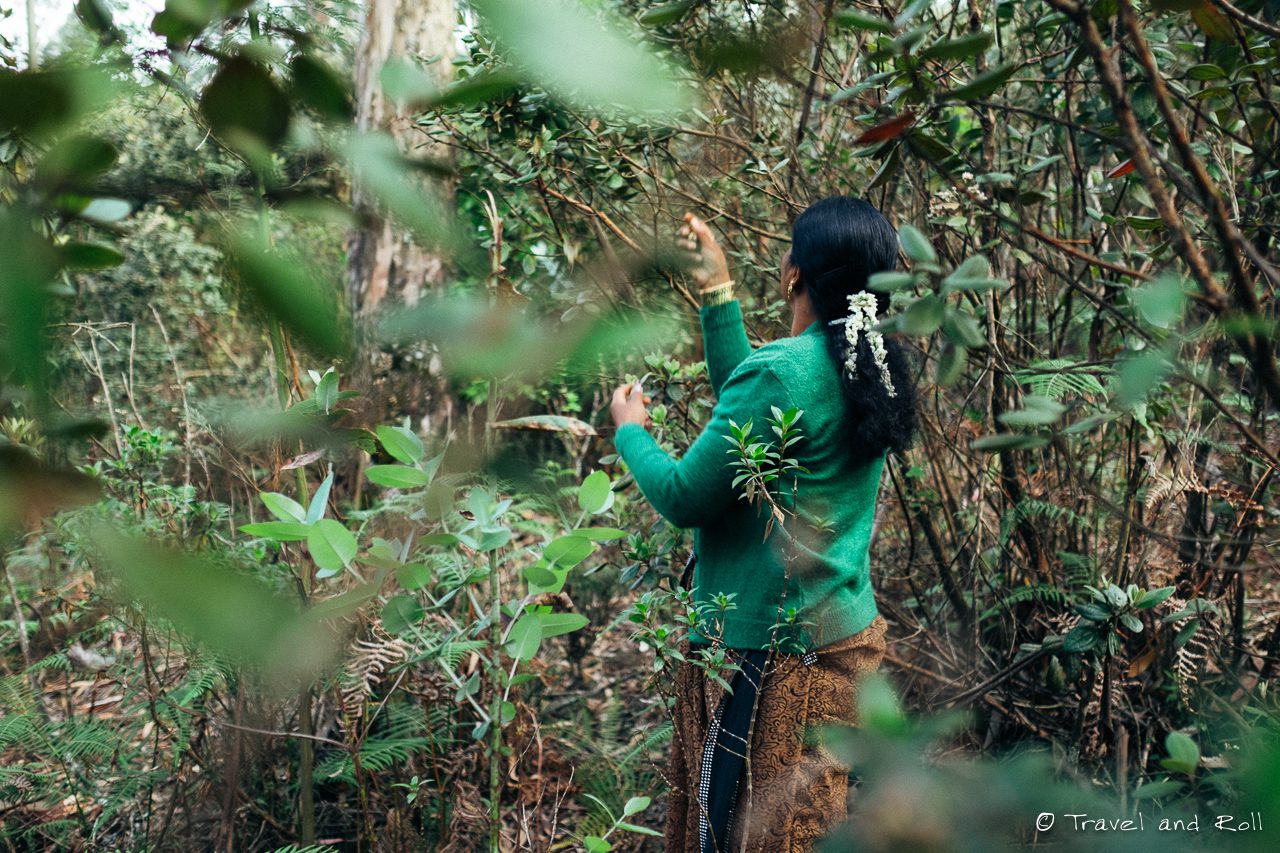 Read more about the article Celebrating the Lives of International Female Environmentalists